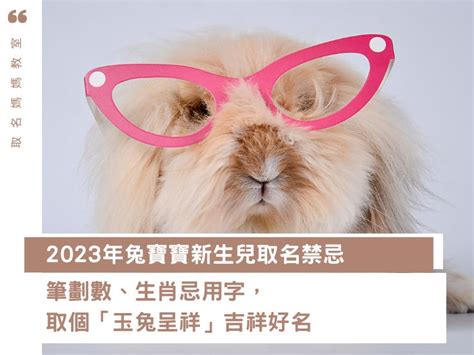 2023姓名學|【2023兔寶寶取名】40個最適合屬兔的字，10個最熱。